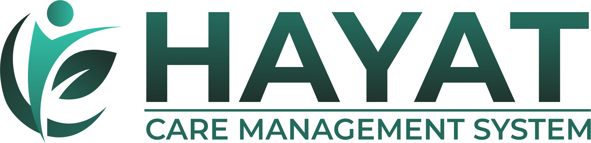 Hayat CMS